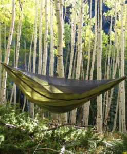 Original Blackbird Camping hammock For Sale