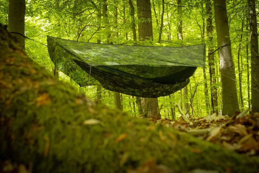 a leafy woods tarp pitched over a blackbird xlc hammock