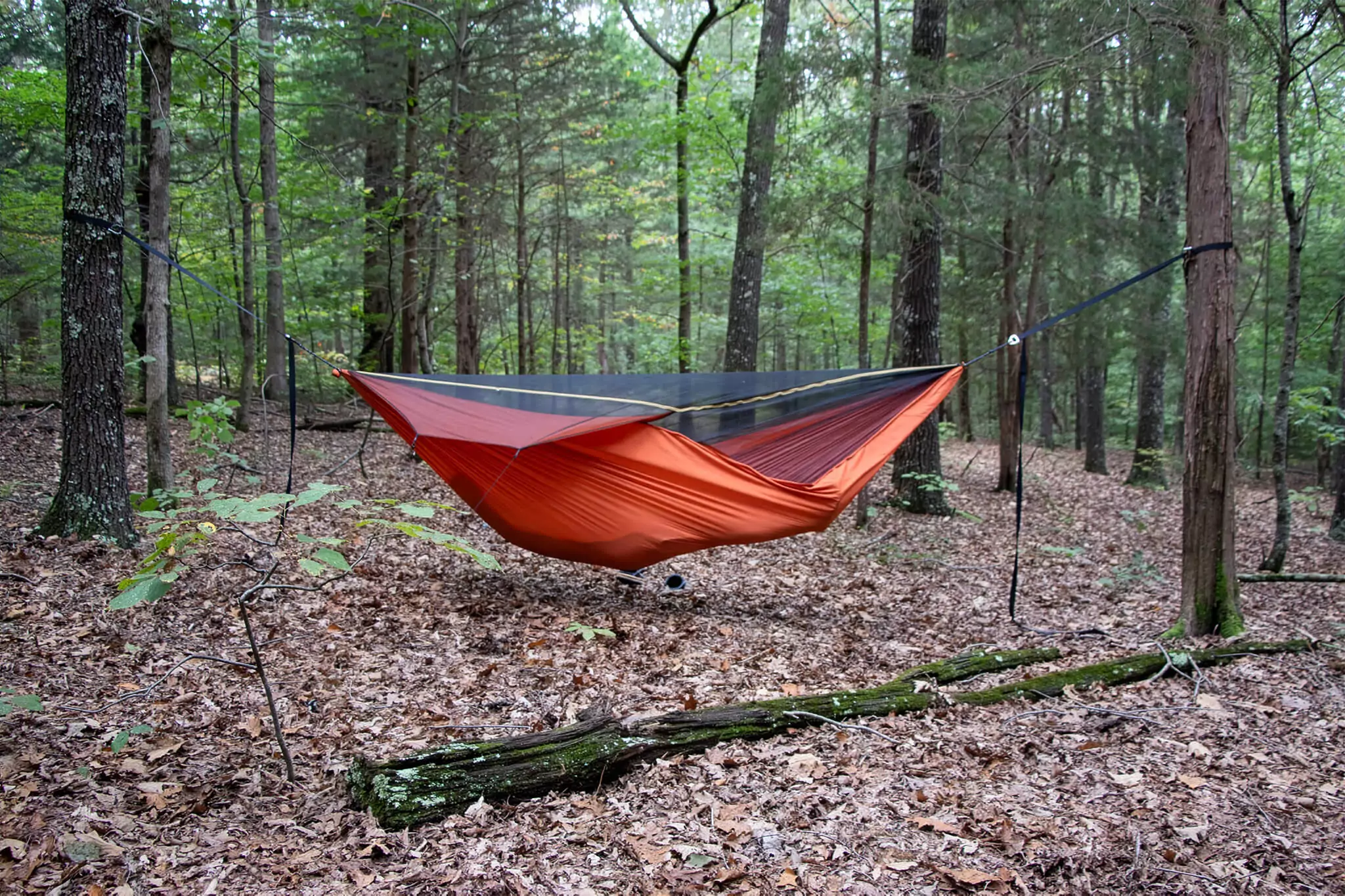 Autumn Orange Blackbird XLC in use