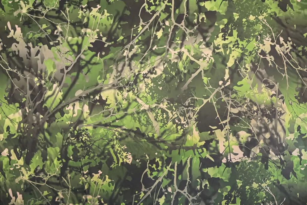 Leafy Woods Camo