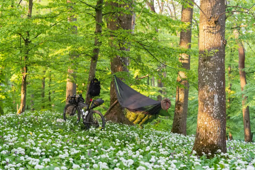 Bike next to Blackbird hammock in grass field